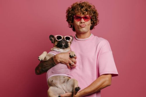 Köpek Kıyafeti Üreticisi