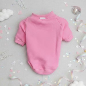 Pink Magic Unicorn Pet Sweatshirt